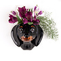 Dachshund Black & Tan Small Wall Vase