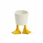 Small Duck Feet Planter