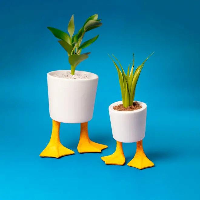 Small Duck Feet Planter
