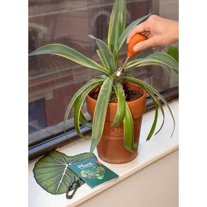 Plant Care Kit