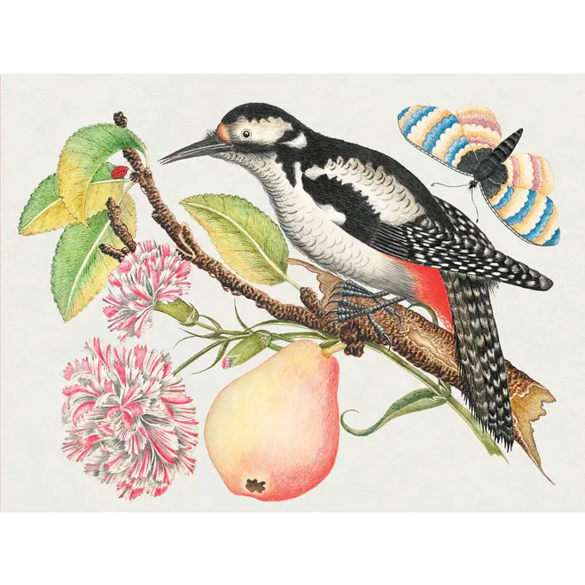 Flowers, Birds, & Butterflies Celebrations Boxed Notecards