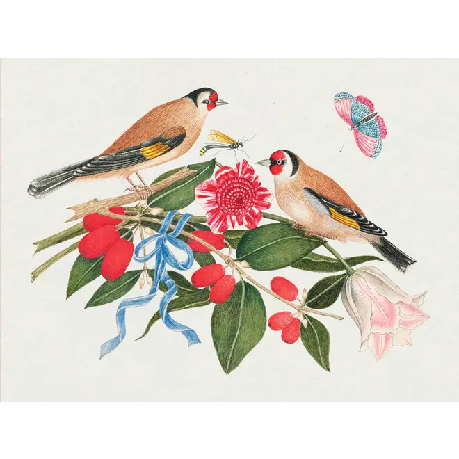 Flowers, Birds, & Butterflies Celebrations Boxed Notecards