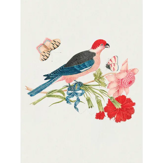 Flowers, Birds, & Butterflies Celebrations Boxed Notecards