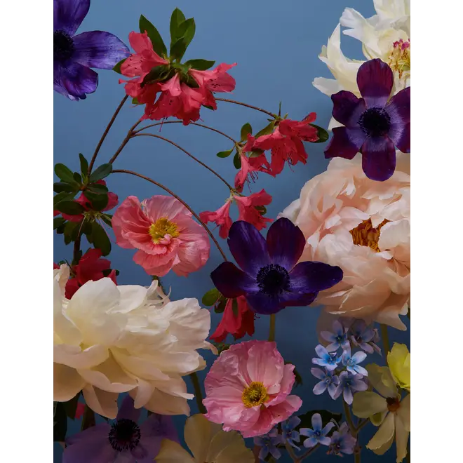 Doan Ly Flowers Keepsake Boxed Notecards