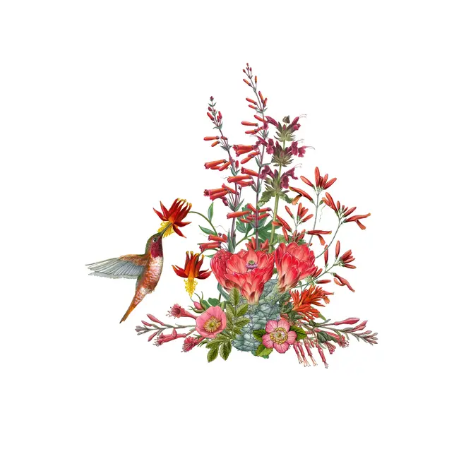 Erin E. Hunter: Pollinators Boxed Notecards