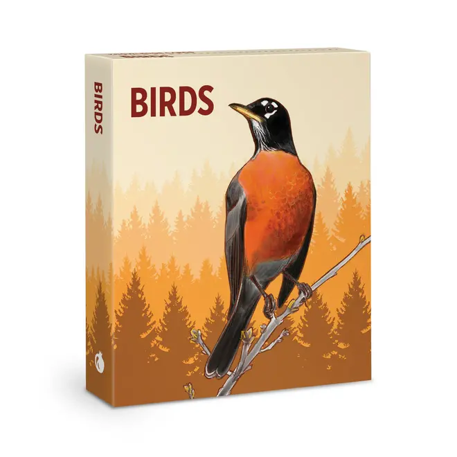 Birds Knowledge Cards