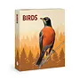 Birds Knowledge Cards