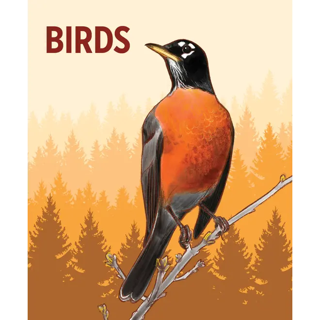 Birds Knowledge Cards