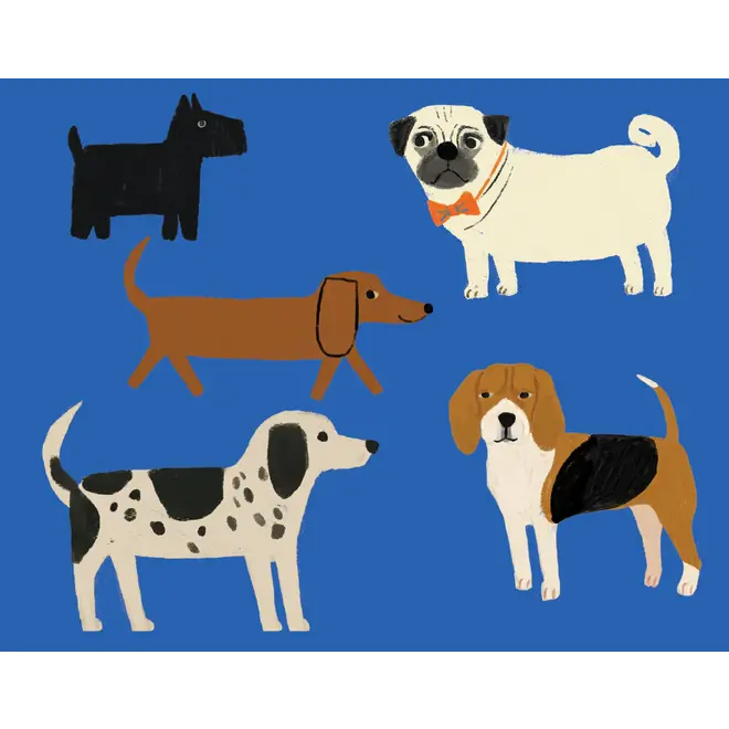 Shaggy Dogs Boxed Notecards