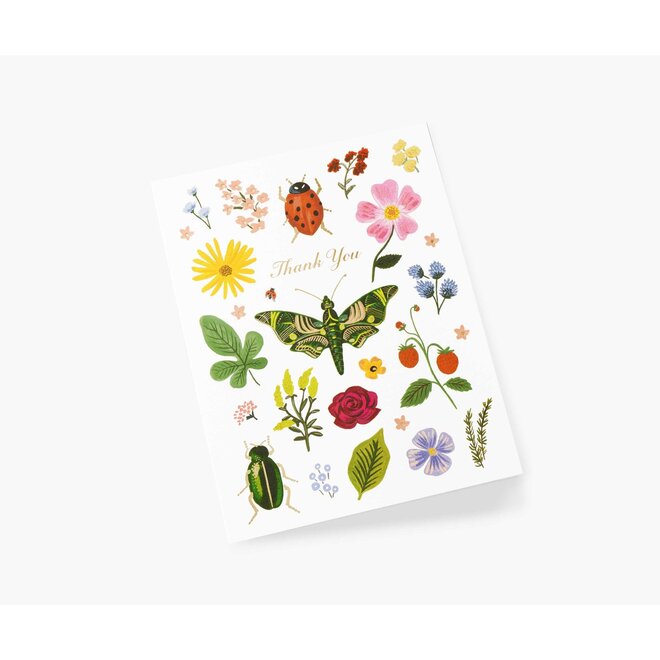 Curio Thank You Card