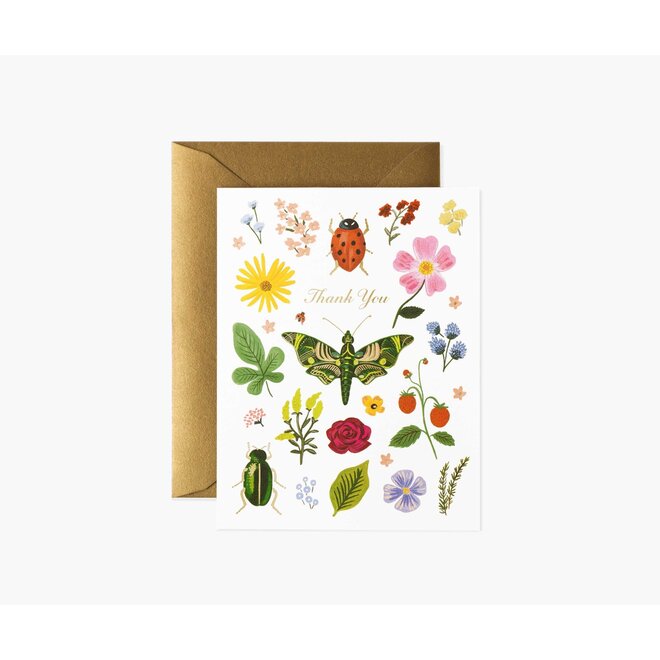 Curio Thank You Card