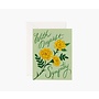 Marigold Sympathy Card