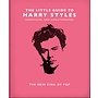 The Little Guide to Harry Styles