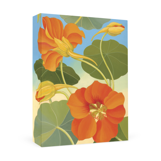 Siri Schillios Nasturtium Boxed Thank You Notes