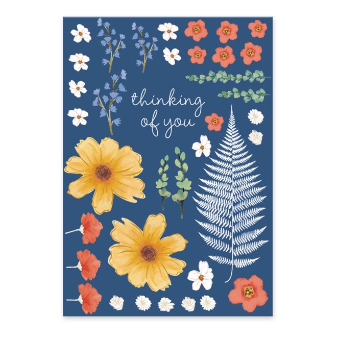 Multi Botany Boxed Notecards