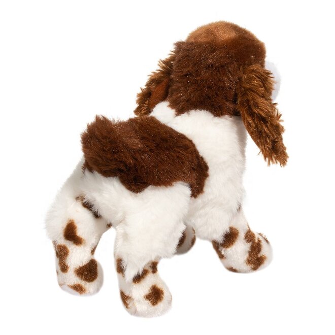 Flair Springer Spaniel