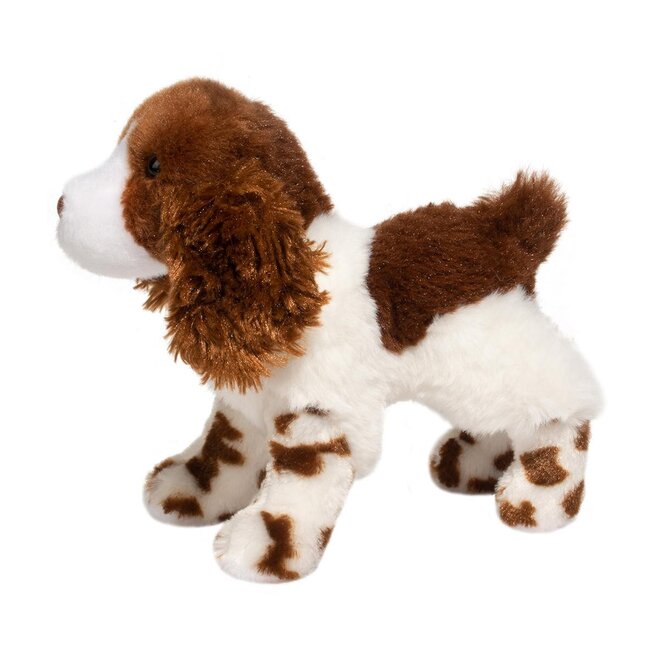 Flair Springer Spaniel