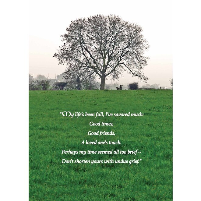 Undue Grief Irish Sympathy Card