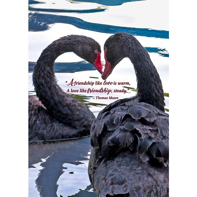Thomas Moore Swan Anniversary Card