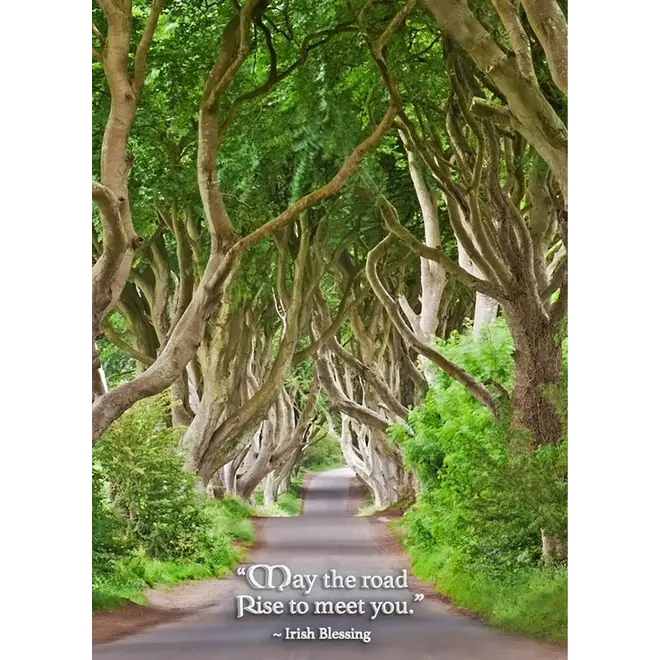 Dark Hedges Greeting Card