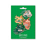 Ireland Map Magnets