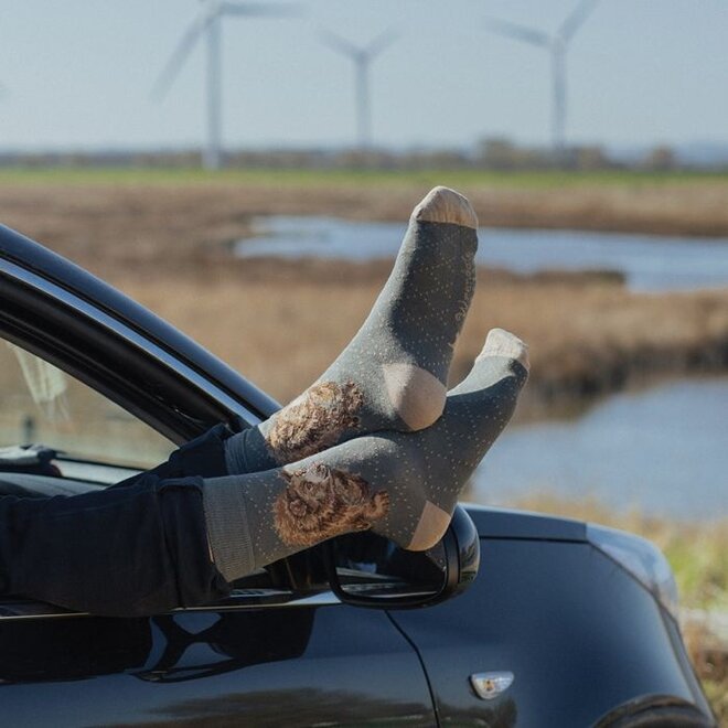 'In My Footsteps' Bear Men's Socks