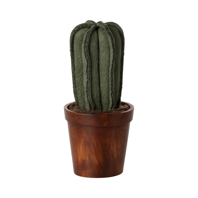 Flower Pot With Cactus, Miniature