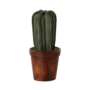 Flower Pot With Cactus, Miniature