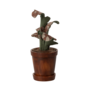 Flower Pot With Plant, Miniature