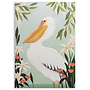 Pelican Greeting Card