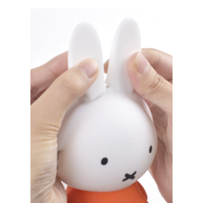 3D  Miffy Red Silicone Pouch