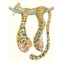 Watercolour Leopard Asleep Greeting Card