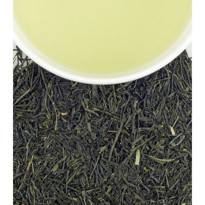 Harney & Sons Organic Sencha Green Loose Leaf Tin