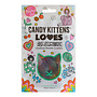 Candy Kittens Loves Candy