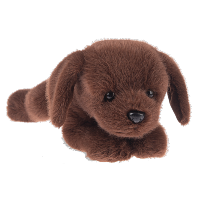 Biscuit Dog Brown