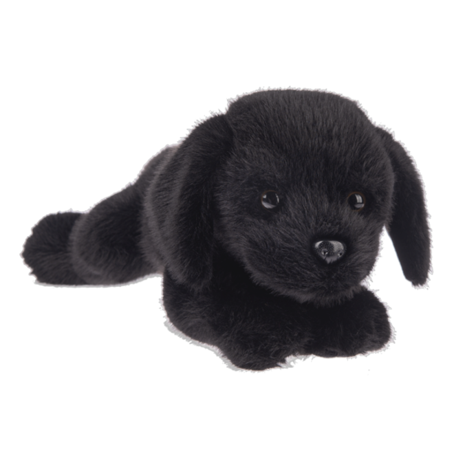 Biscuit Dog Black