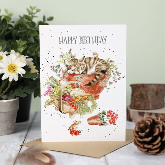 'Purrrfect Birthday' Cat & Mice Birthday Card