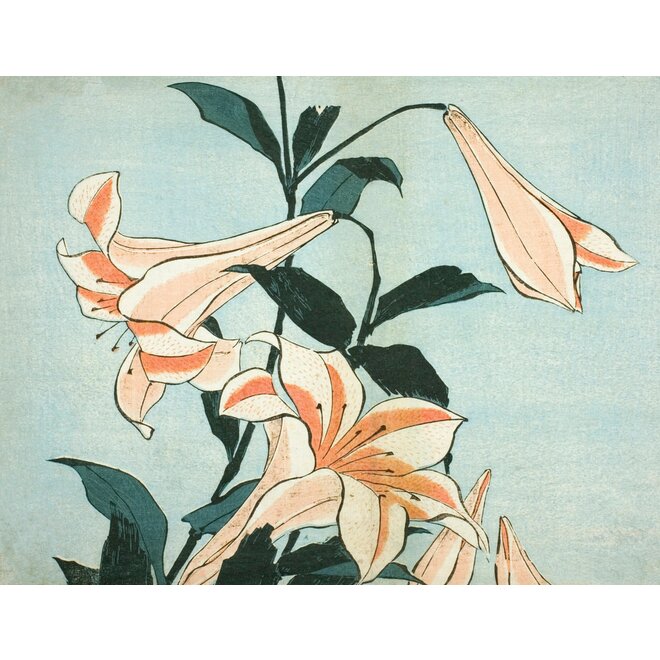 Hokusai Keepsake Boxed Notecards