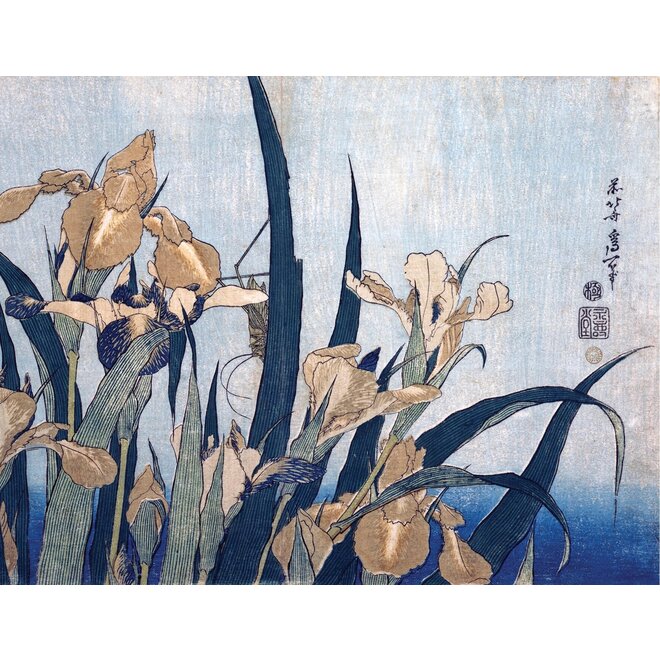 Hokusai Keepsake Boxed Notecards