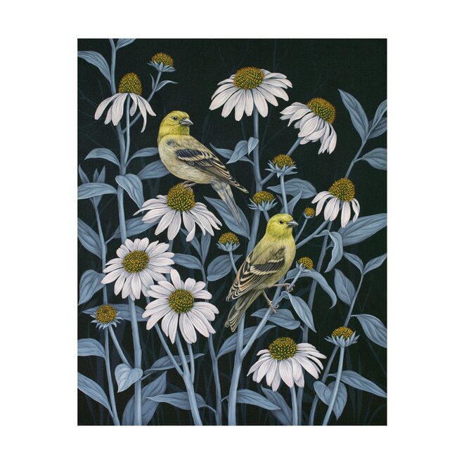 Vasilisa Romanenko: Birds of a Feather Boxed Notecard Assortment