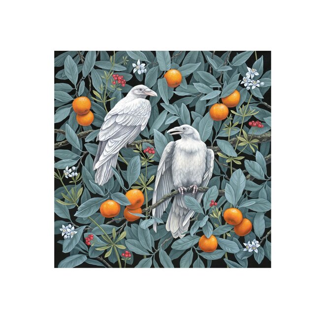 Vasilisa Romanenko: Birds of a Feather Boxed Notecard Assortment