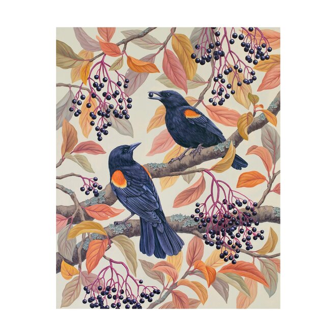 Vasilisa Romanenko: Birds of a Feather Boxed Notecard Assortment