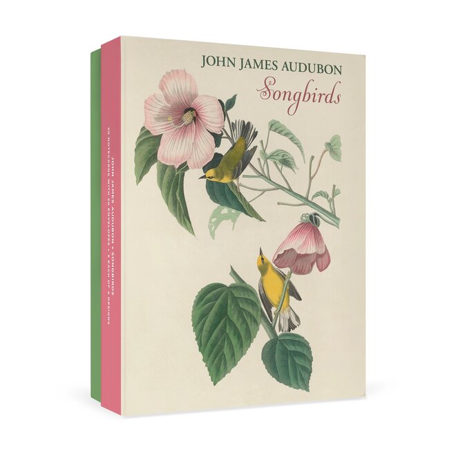 John James Audubon: Songbirds Boxed Notecard Assortment