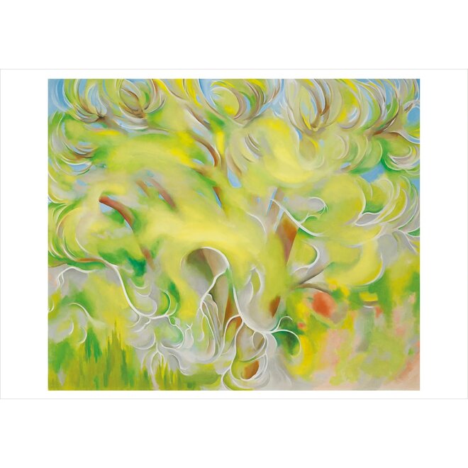 Georgia O'Keeffe: Trees Boxed Notecard Assortment