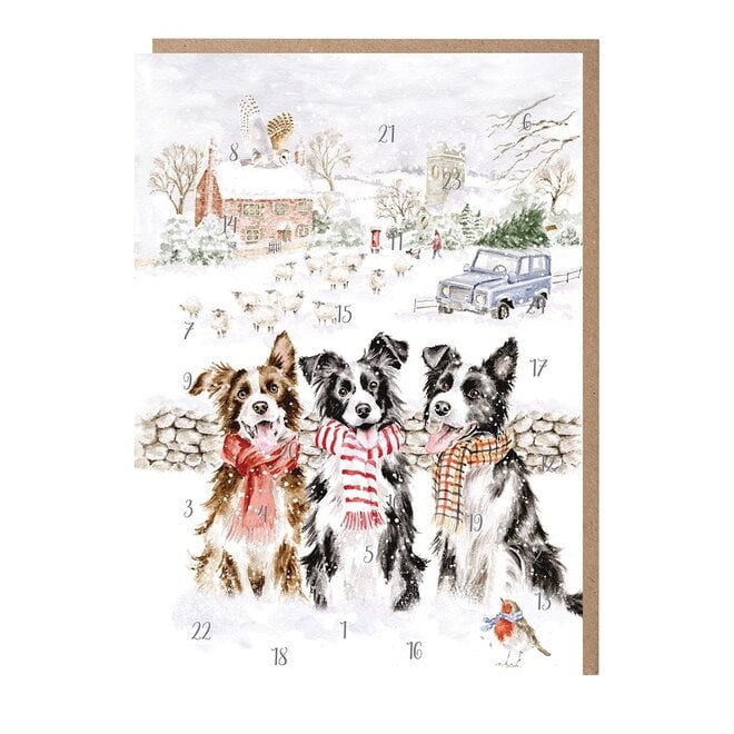 'While Shepherds Watched' Border Collie Paper Advent Calendar Card