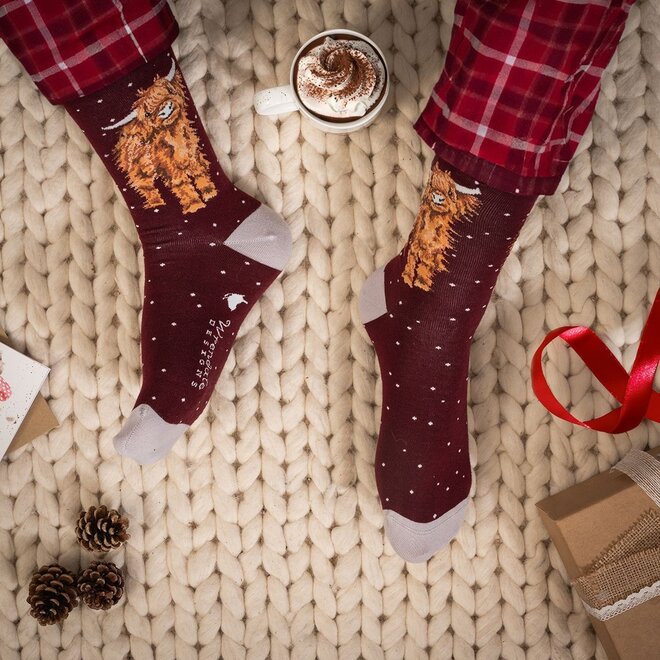 'A Highland Christmas' Highland Cow Men's Socks