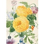 Vase of Flowers Greeting Card