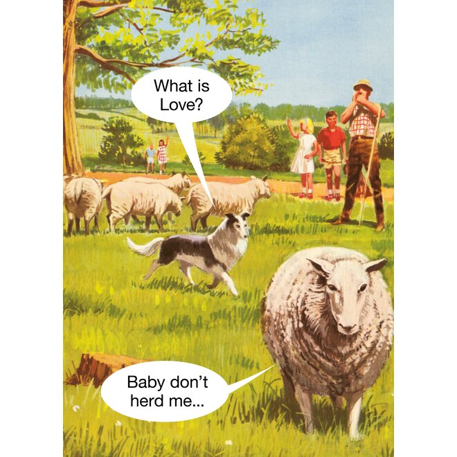 Baby Don't Herd Me Greeting Card