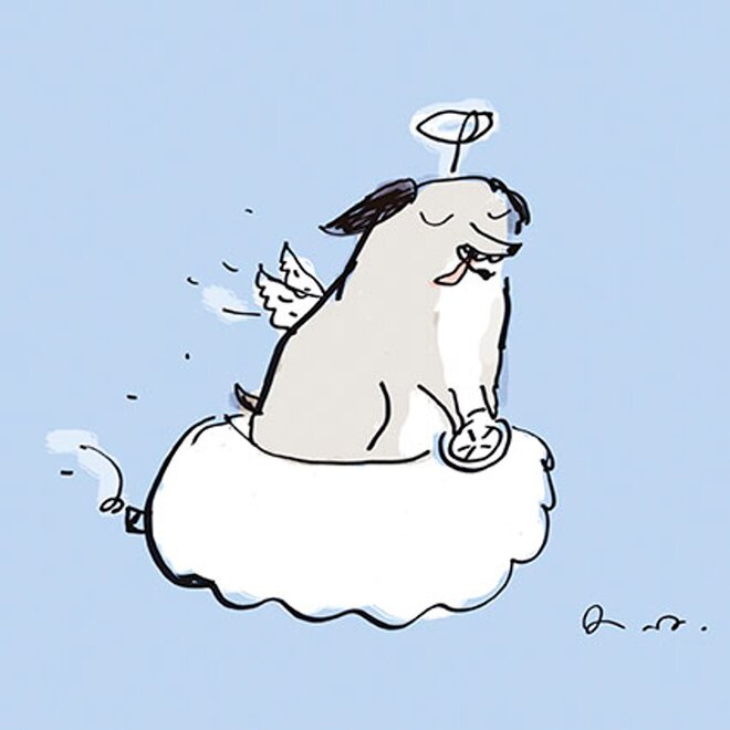 Dog Heaven Pet Sympathy Card