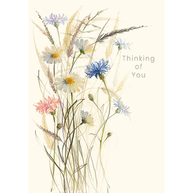 Oxeye Daisies Thinking of You Sympathy Card